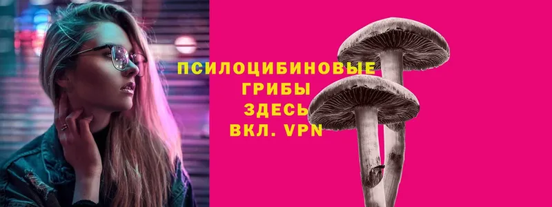 Псилоцибиновые грибы мухоморы  Выкса 